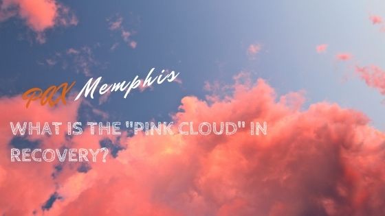 pink cloud in recovery