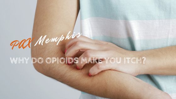 why do opioids make you itch